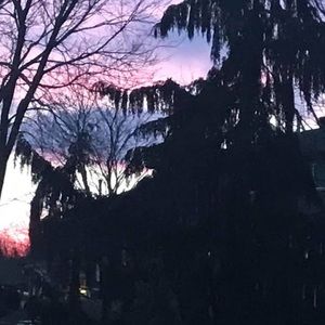 Meet your Posher, Lorraine